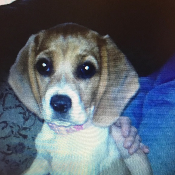 Meet your Posher, Beth - Picture 1 of 1